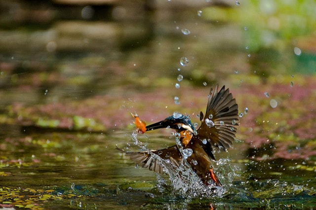 20250829-iyqqe 20250829-iyqqe