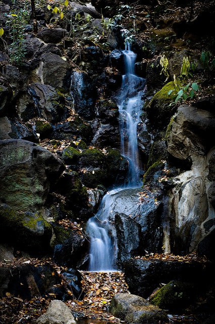 20250829-tncst 20250829-tncst