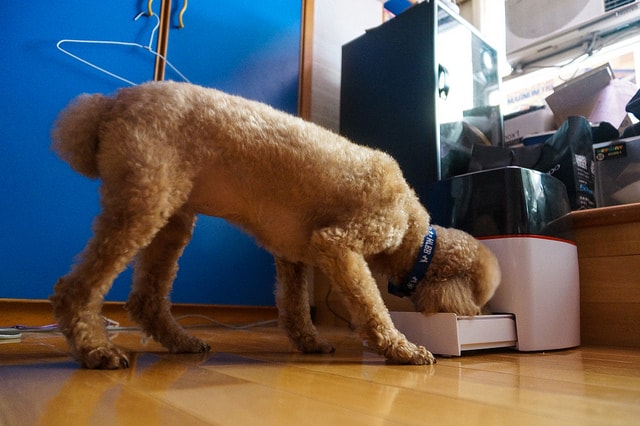 20250829-0r7cc 20250829-0r7cc