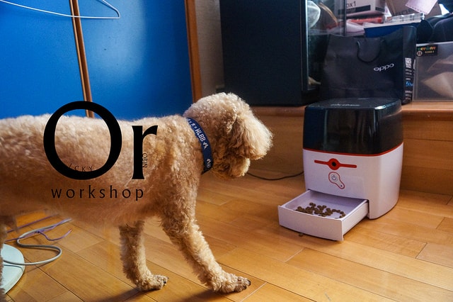 20250829-2q6ri 20250829-2q6ri