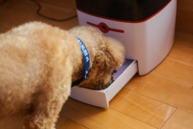 20250829-dl2jy 20250829-dl2jy