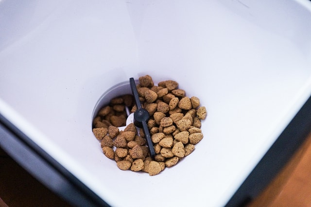 20250829-q7nht 20250829-q7nht