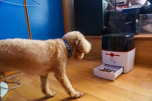 20250829-tuzj8 20250829-tuzj8