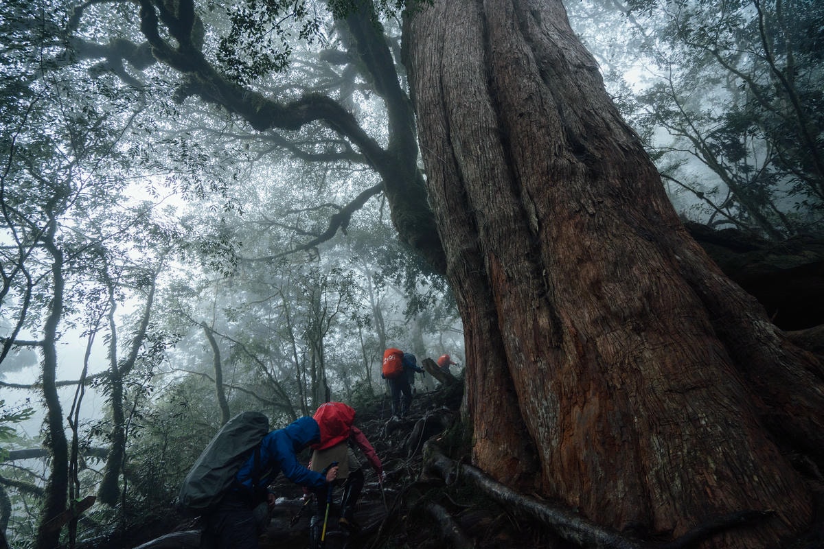 20250829-29xl3 20250829-29xl3