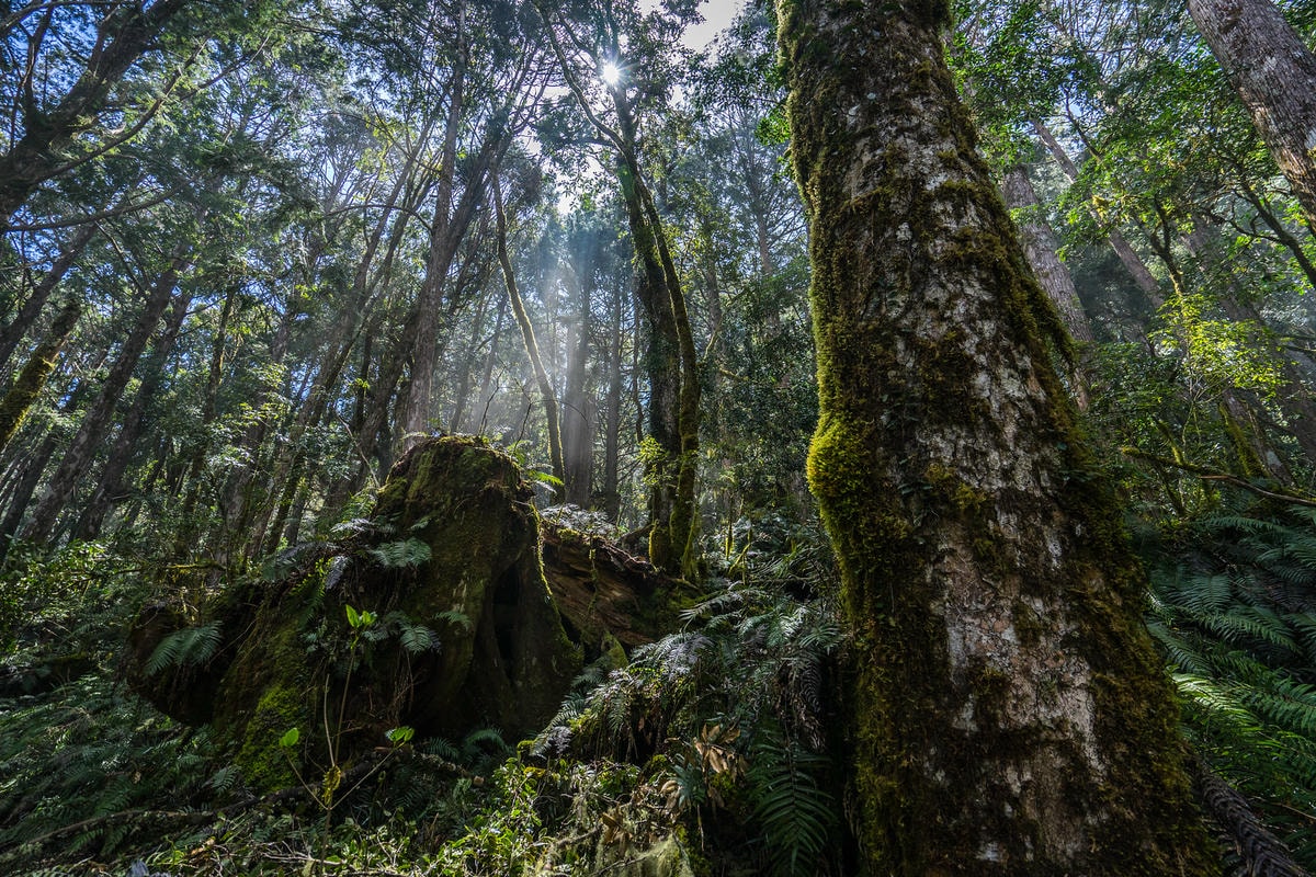 20250829-4s1o0 20250829-4s1o0