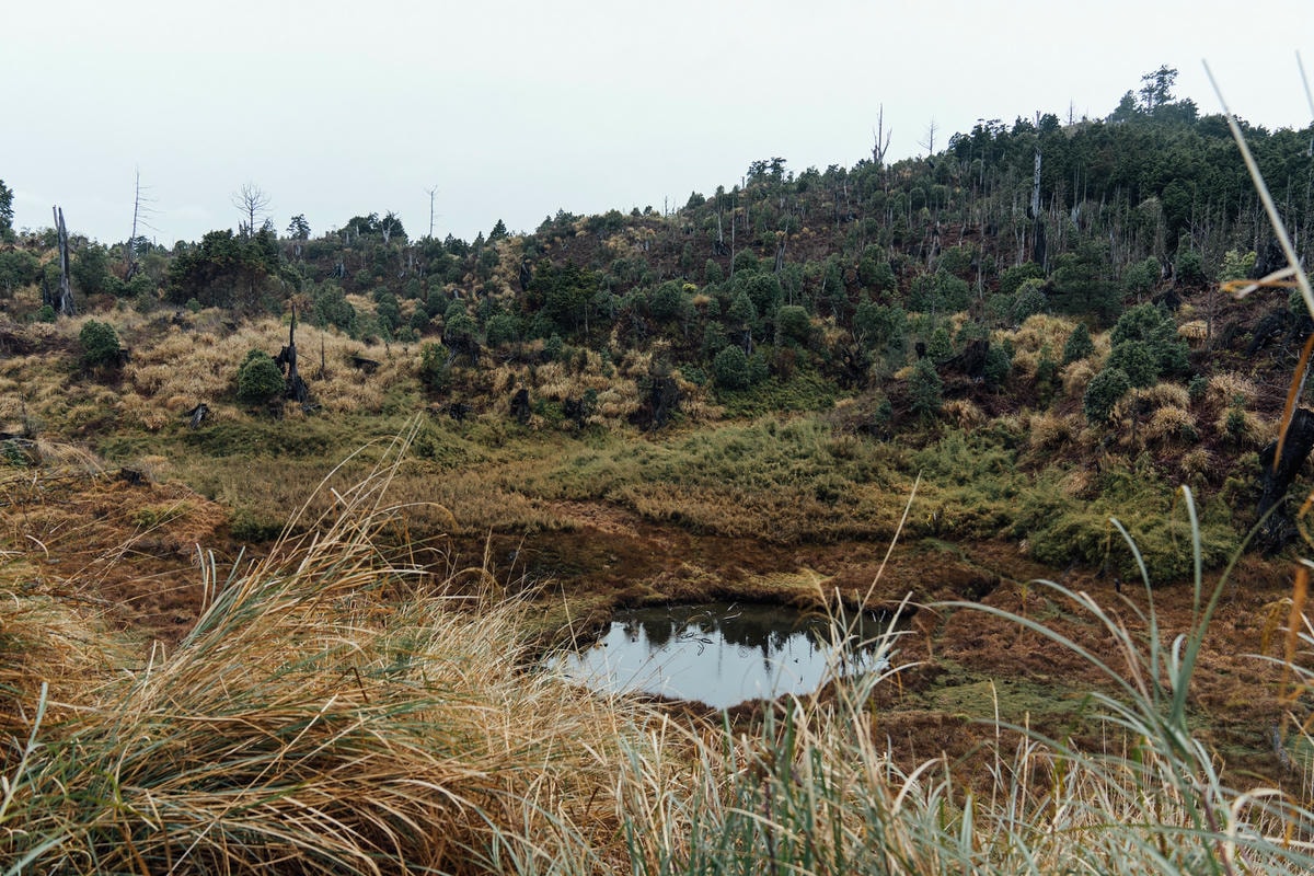 20250829-5n85w 20250829-5n85w