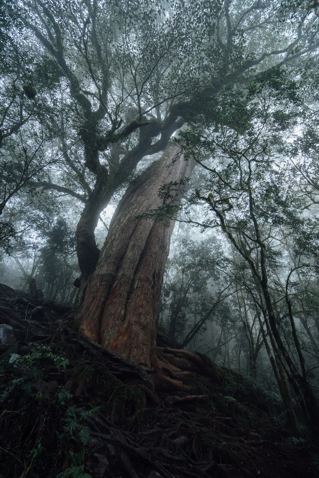 20250829-8naqs 20250829-8naqs