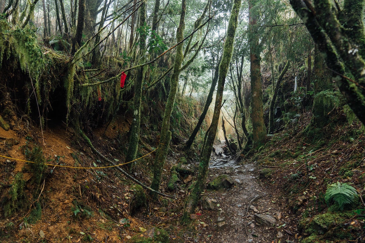 20250829-961w5 20250829-961w5