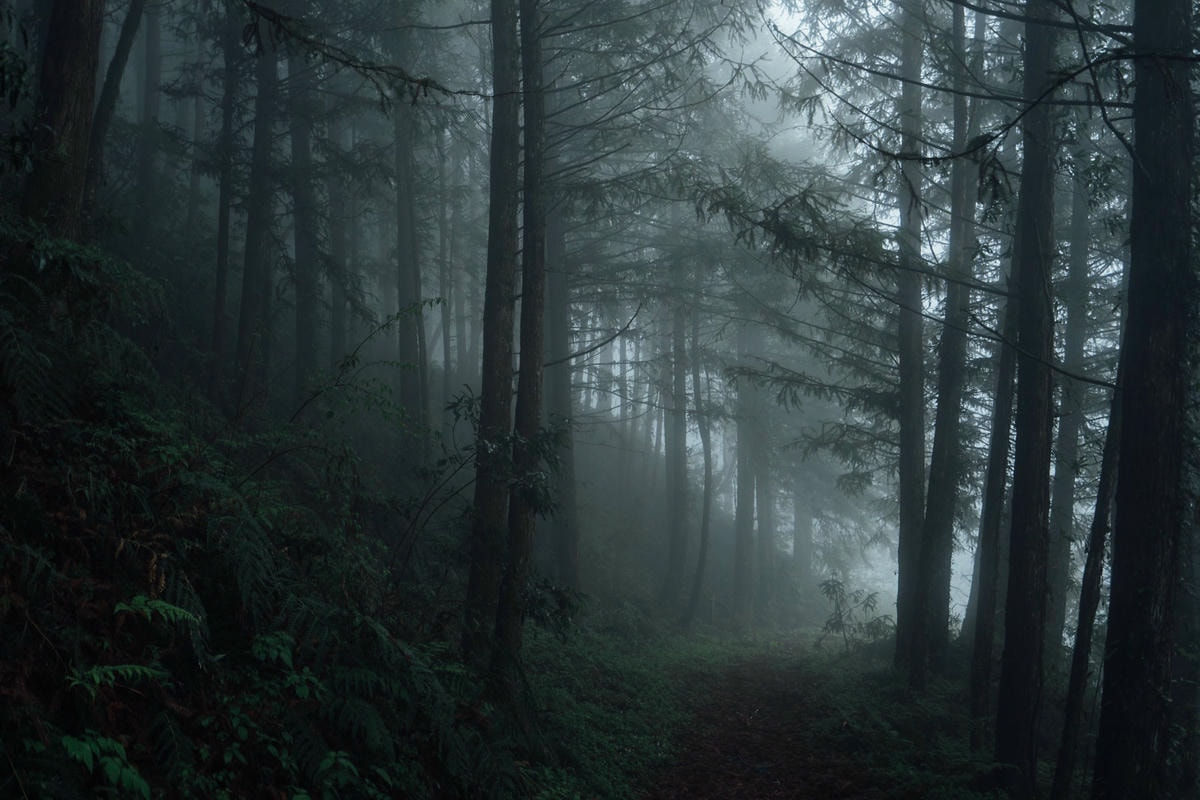 20250829-9r80t 20250829-9r80t