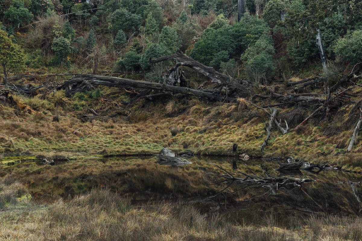 20250829-uete0 20250829-uete0