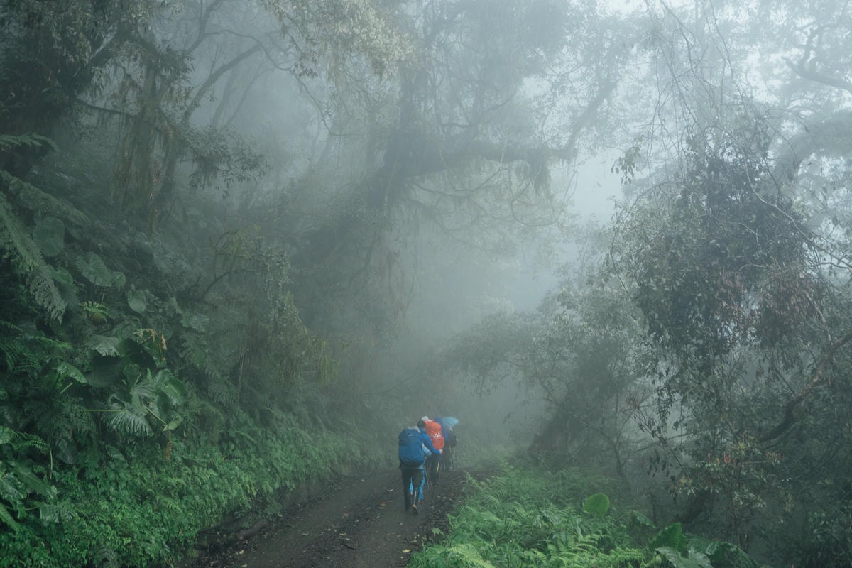 20250829-v2ml0 20250829-v2ml0