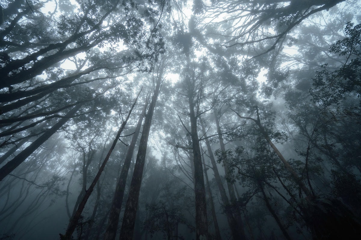 20250829-xltn8 20250829-xltn8