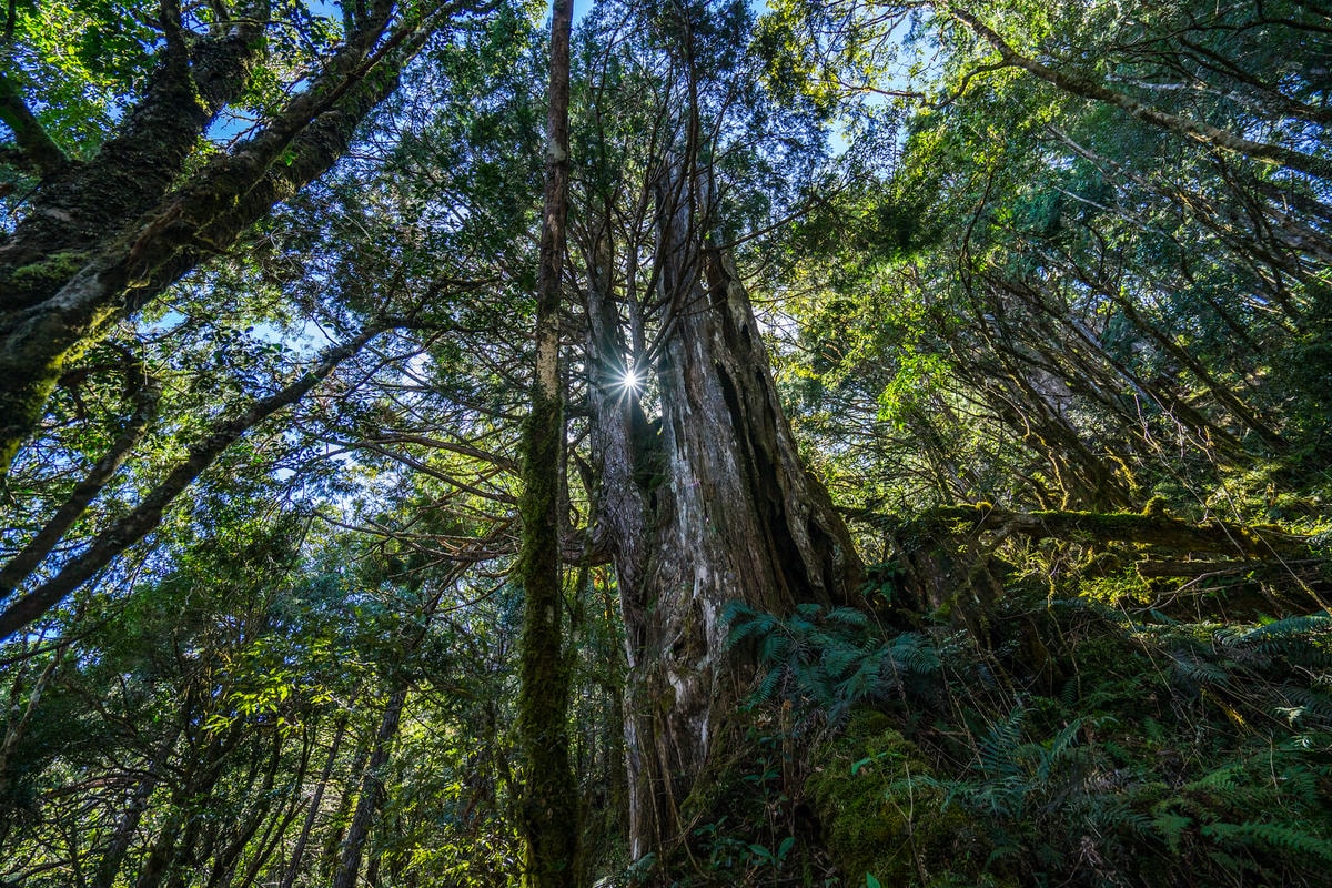 20250829-yyyo1 20250829-yyyo1