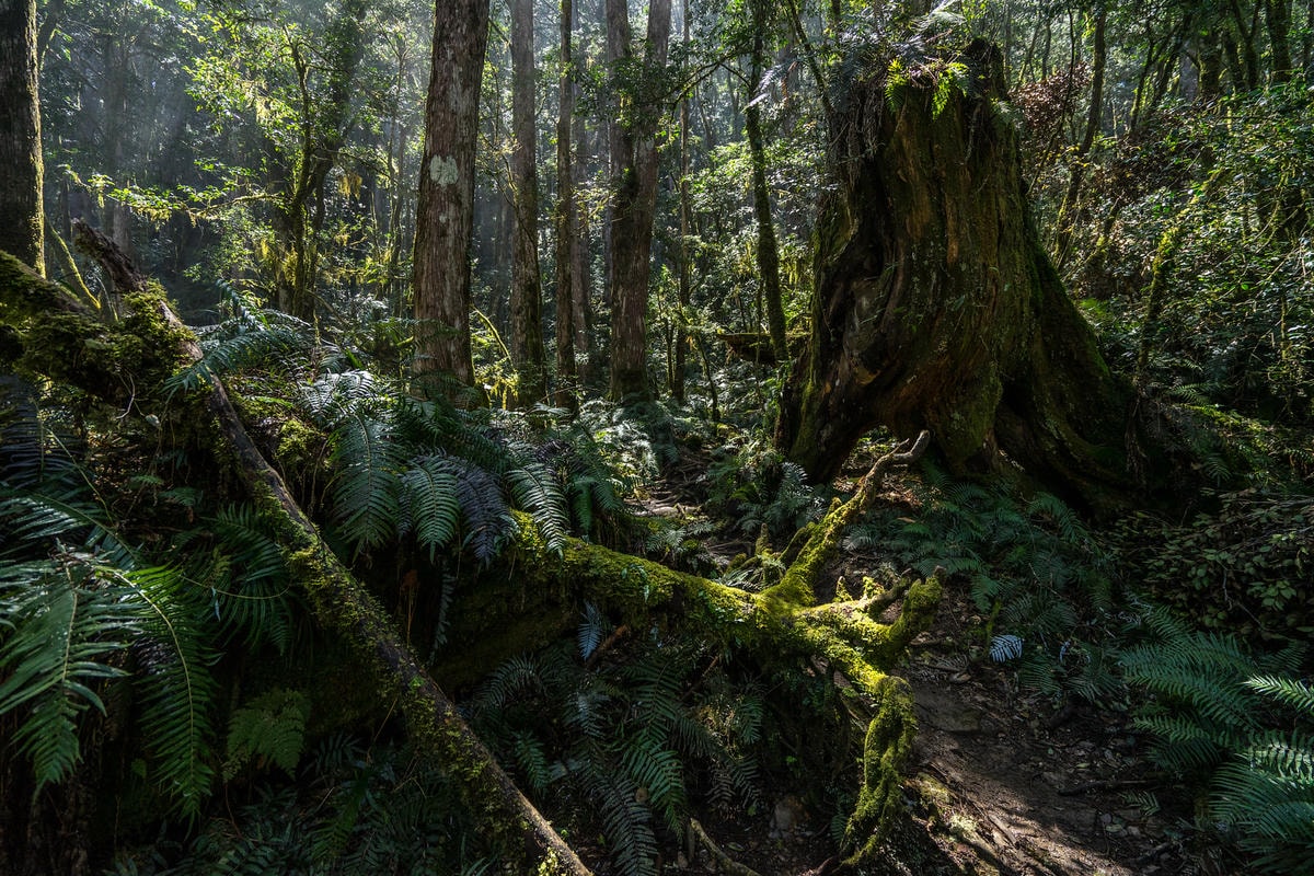 20250829-z3uxx 20250829-z3uxx