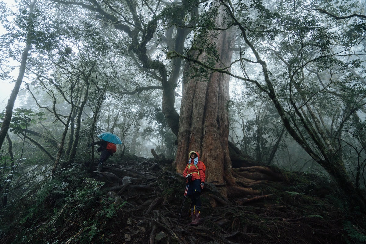 20250829-zbh5r 20250829-zbh5r